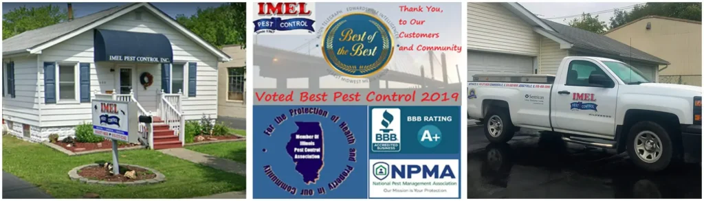 pest control company edwardsville il